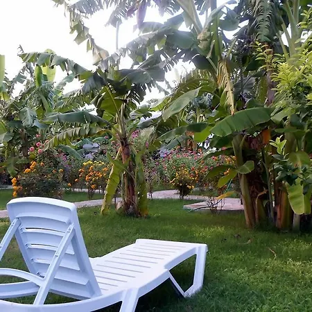 Estelar Guest house *