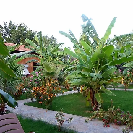 Estelar Guest house