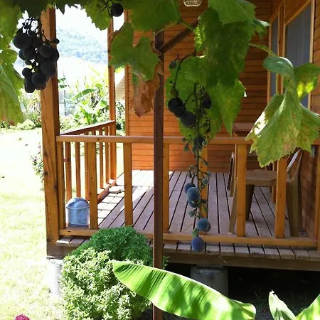 Guest house Estelar